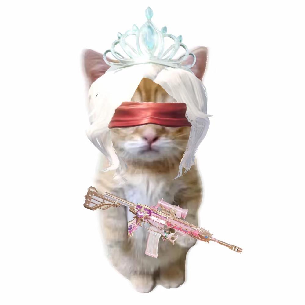 金智秋