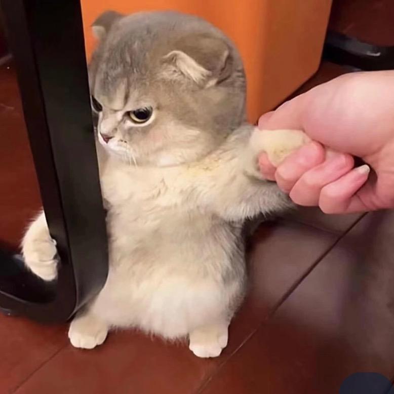 稻青百货