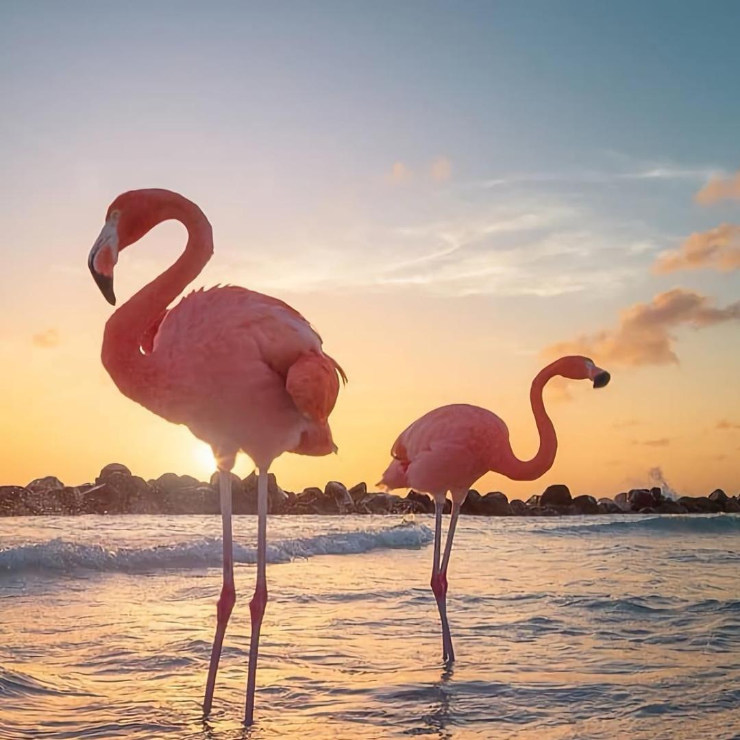 开猛龙的小孩姐🦩