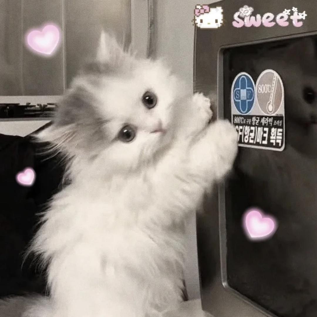 kukumi