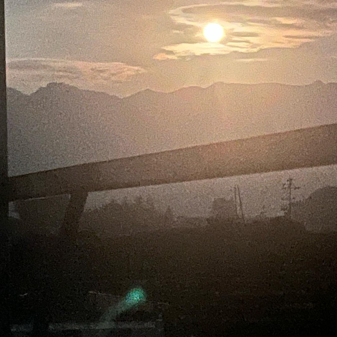 地薯