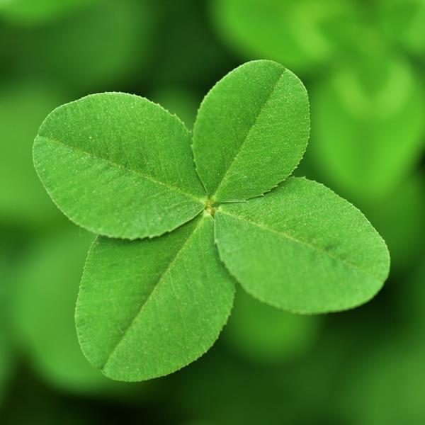 温江鼎香卤甜皮鸭店