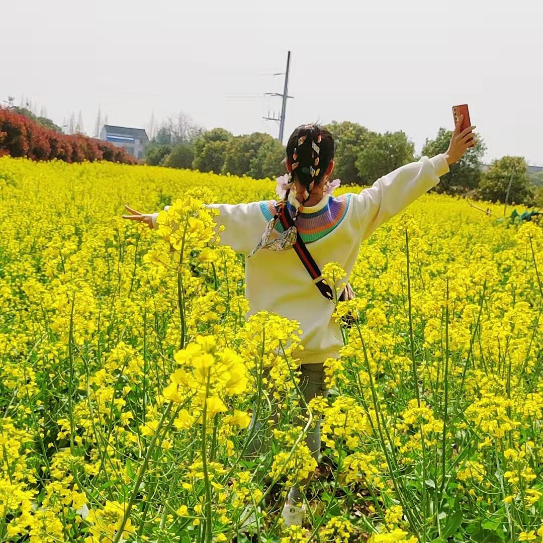 依然思乡愁