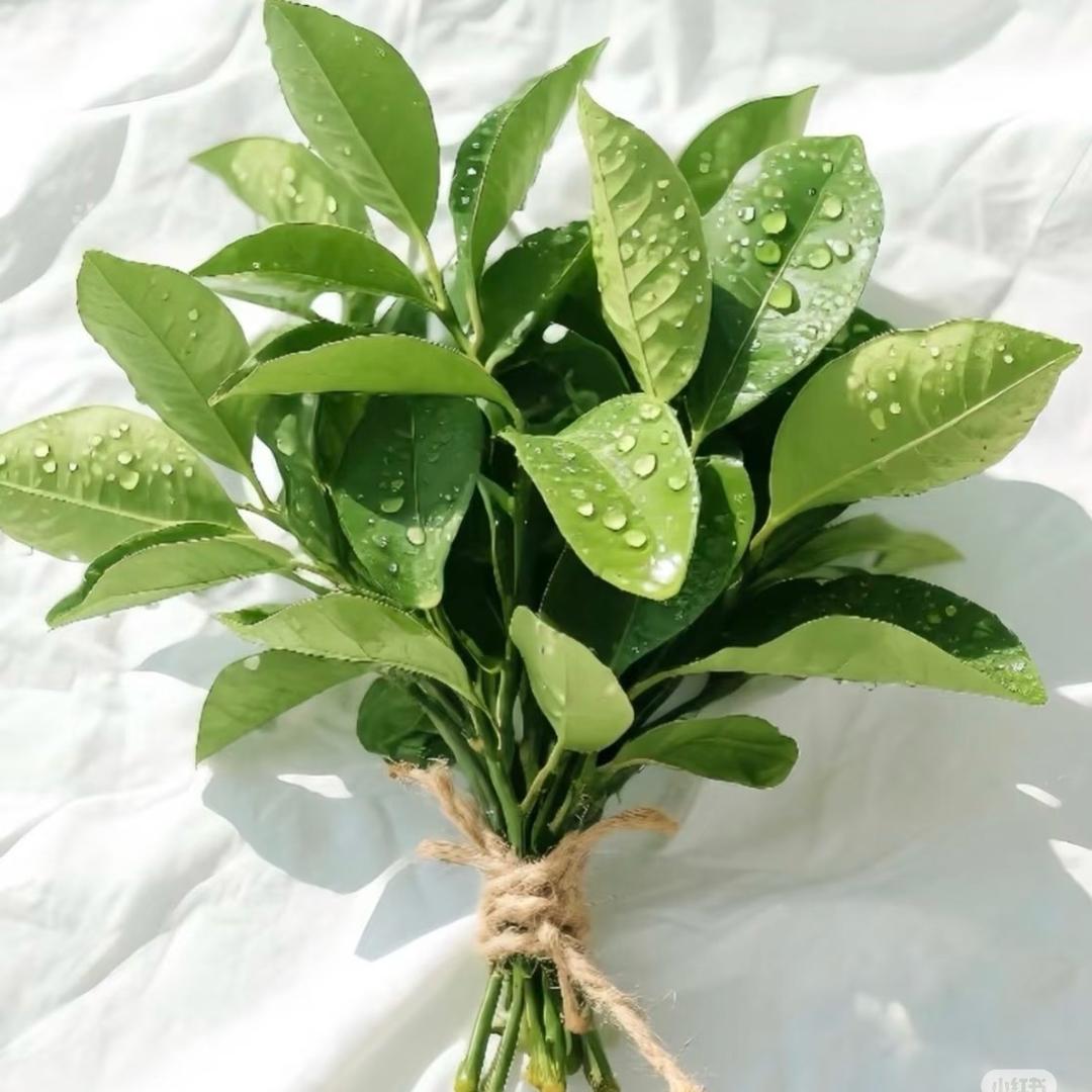 .♡⃝ ʜᴇʟʟᴏ ◡̈ ☽