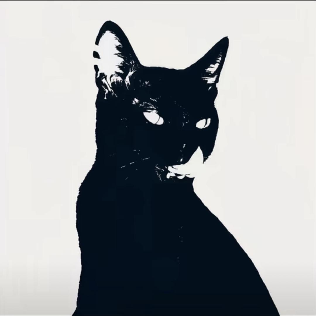 舍