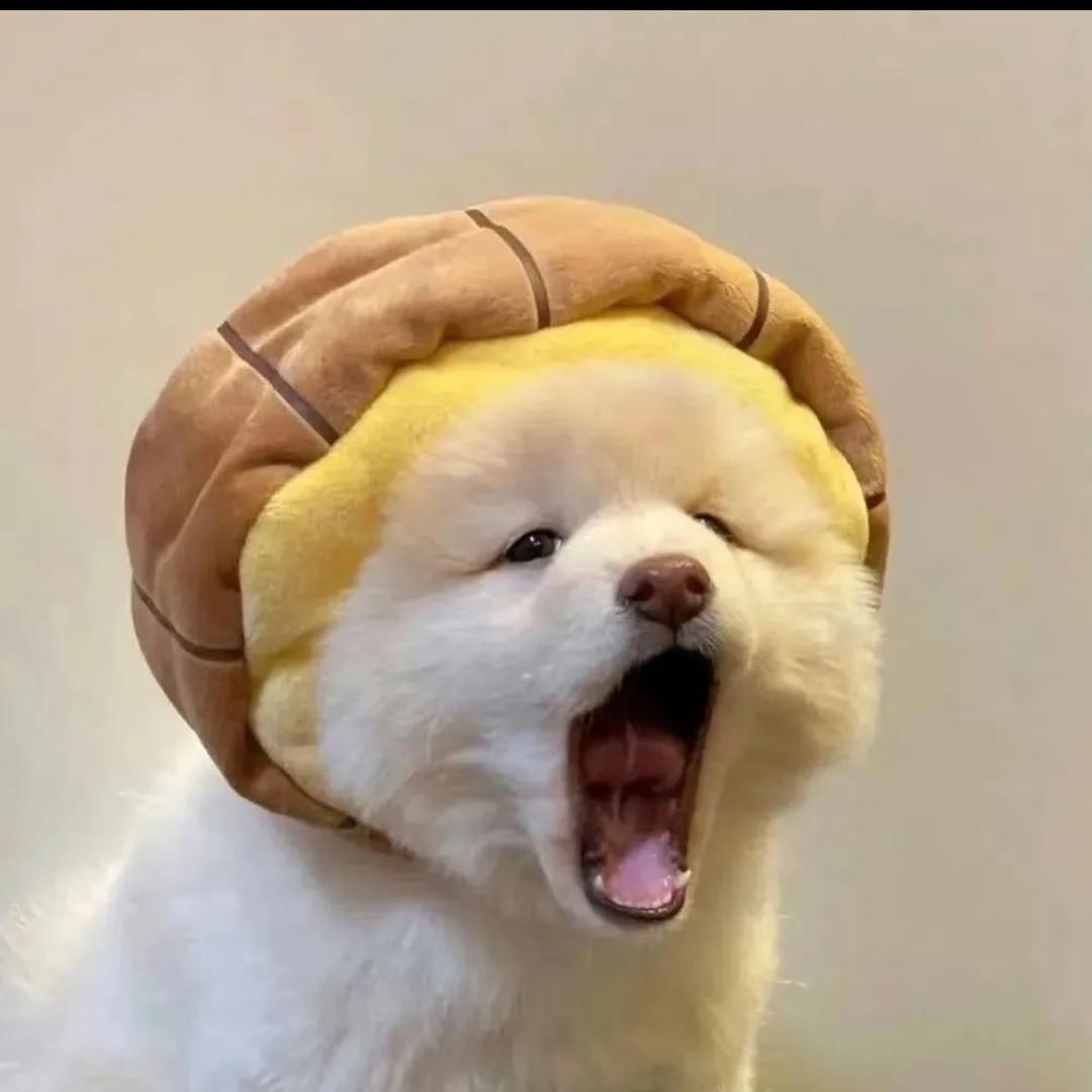 🐾🌼