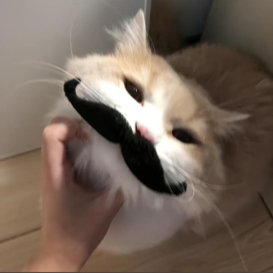 我的兔牙藏不住了