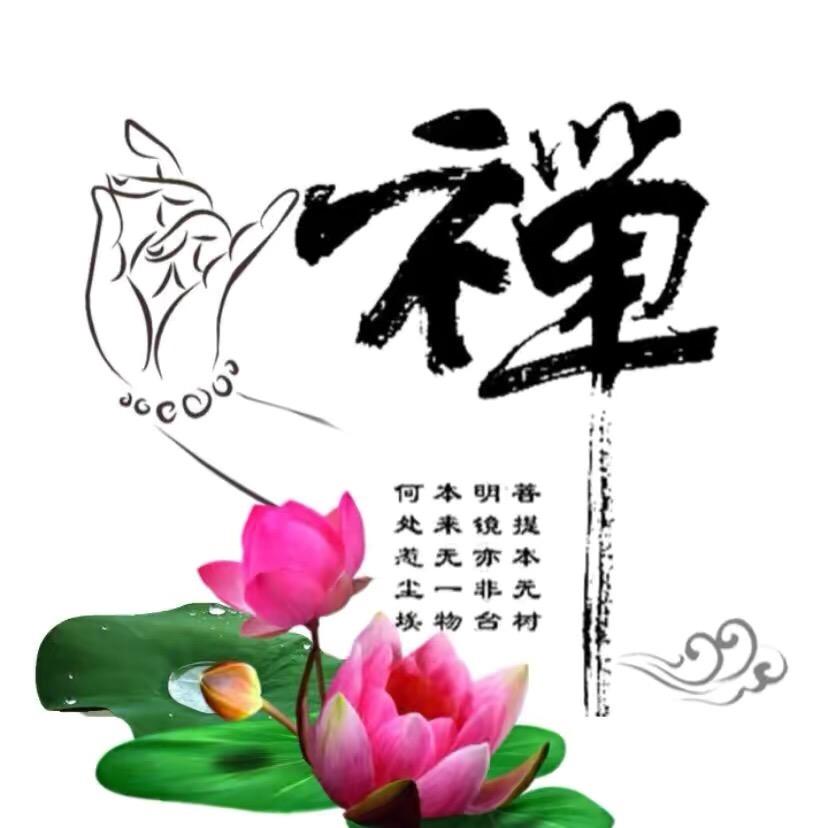 菩老师禅道
