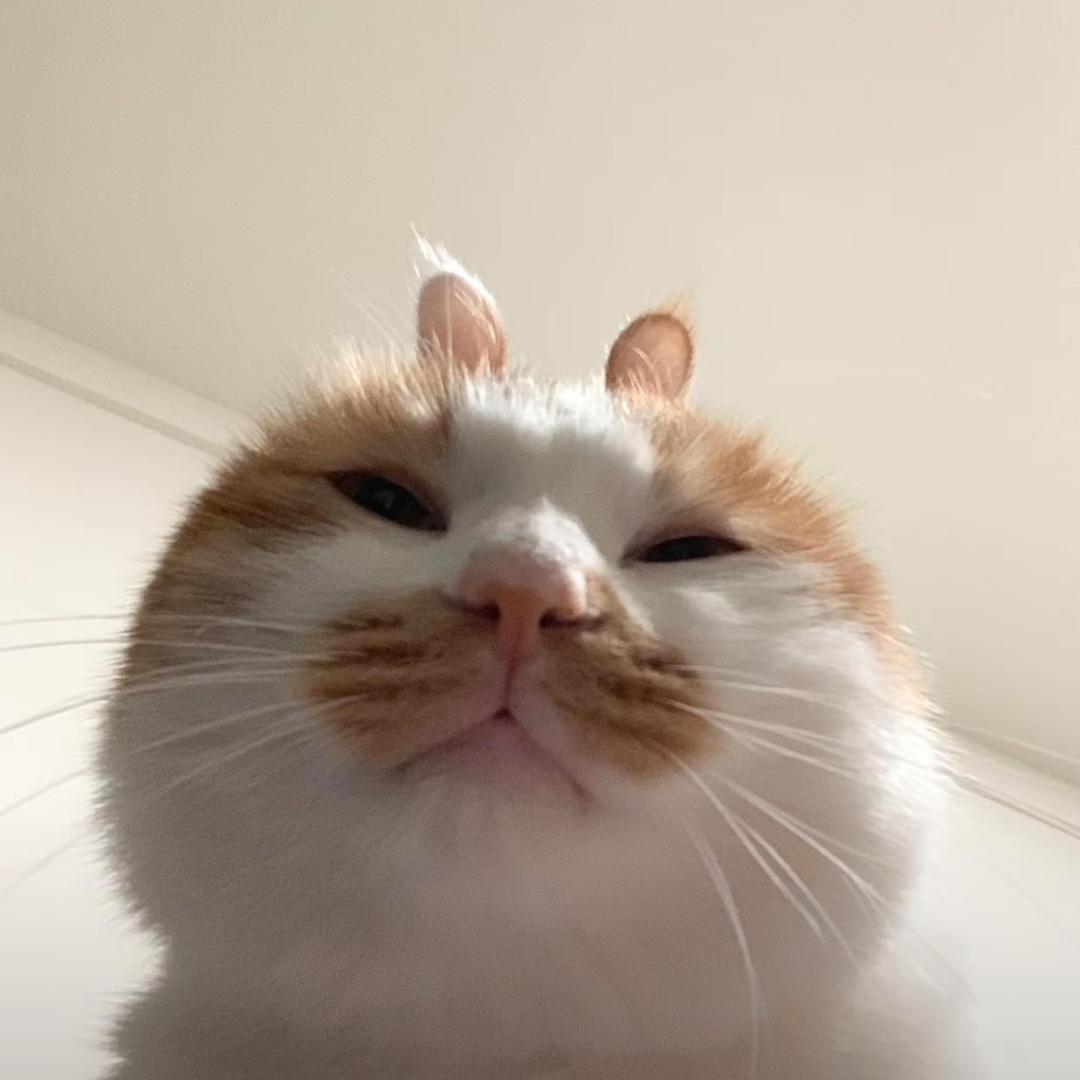 琳子