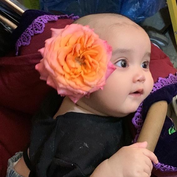 aripa💕推荐好物