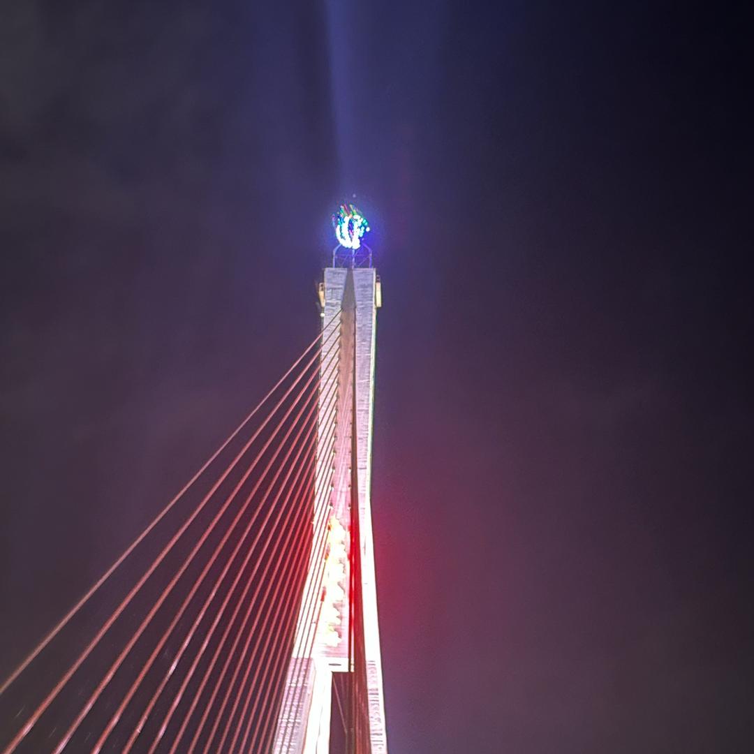 八两金.