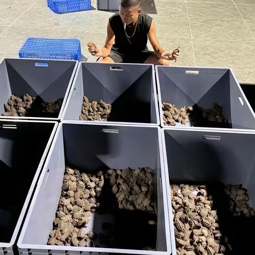 爱玩龟名归（挑🐢私信）