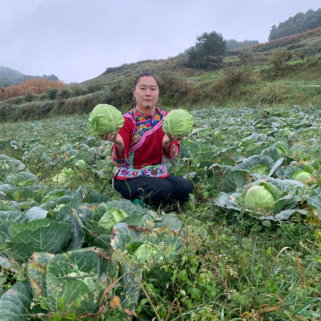 小丽农产品分享