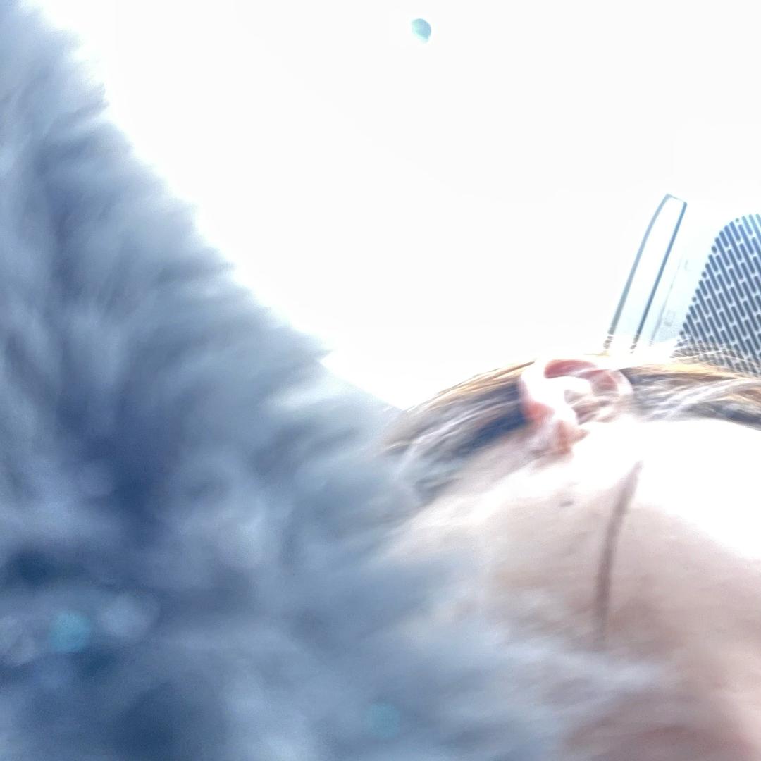 漾漾