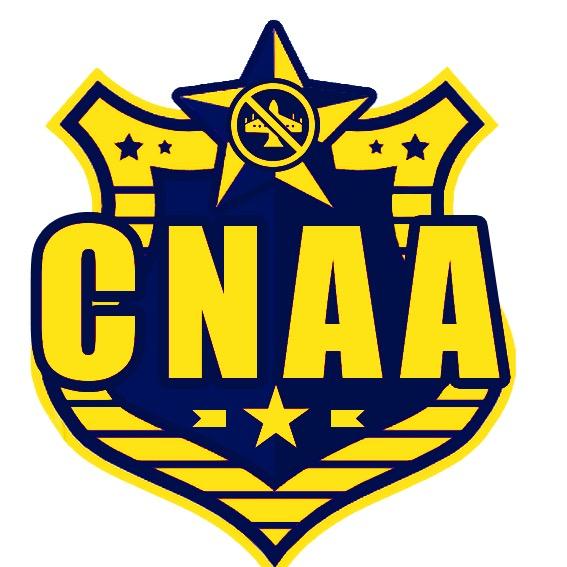 CNAA慧根仙人-视频号