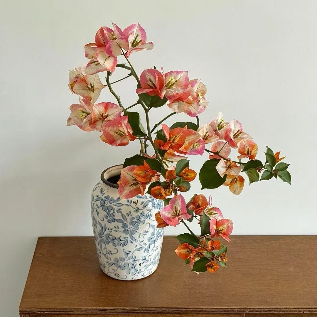 紫溪河畔小花园二号