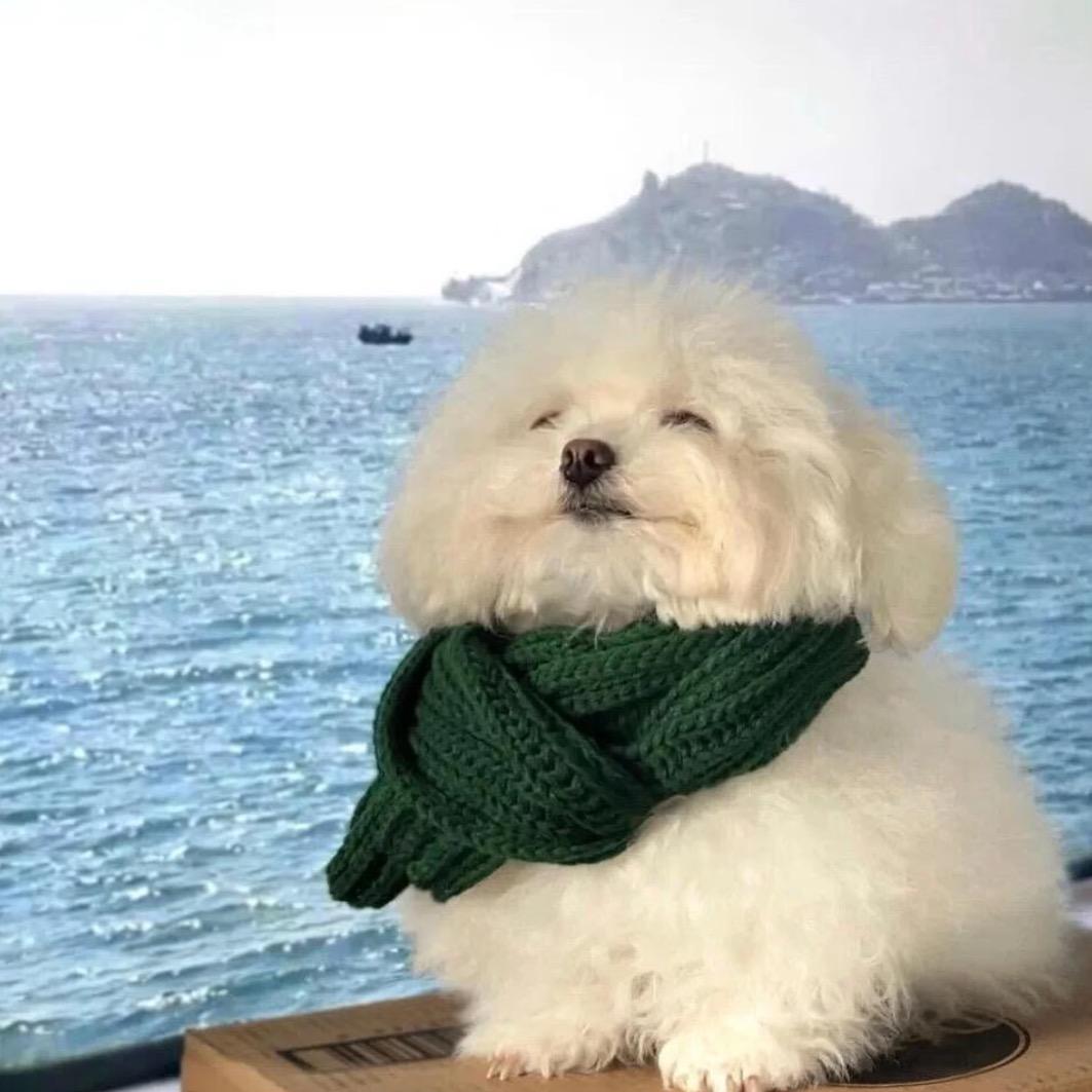 麻辣西瓜