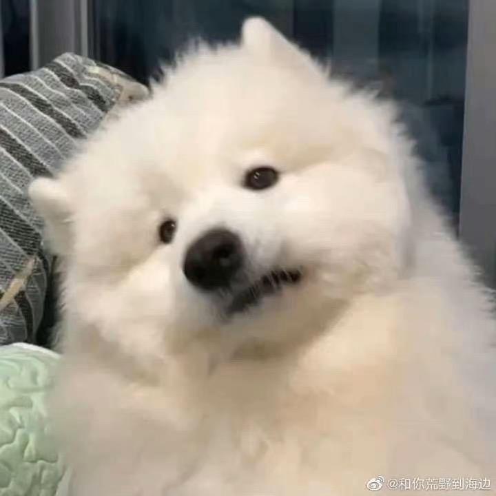 瓜瓜
