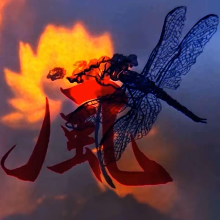 觉醒舍长