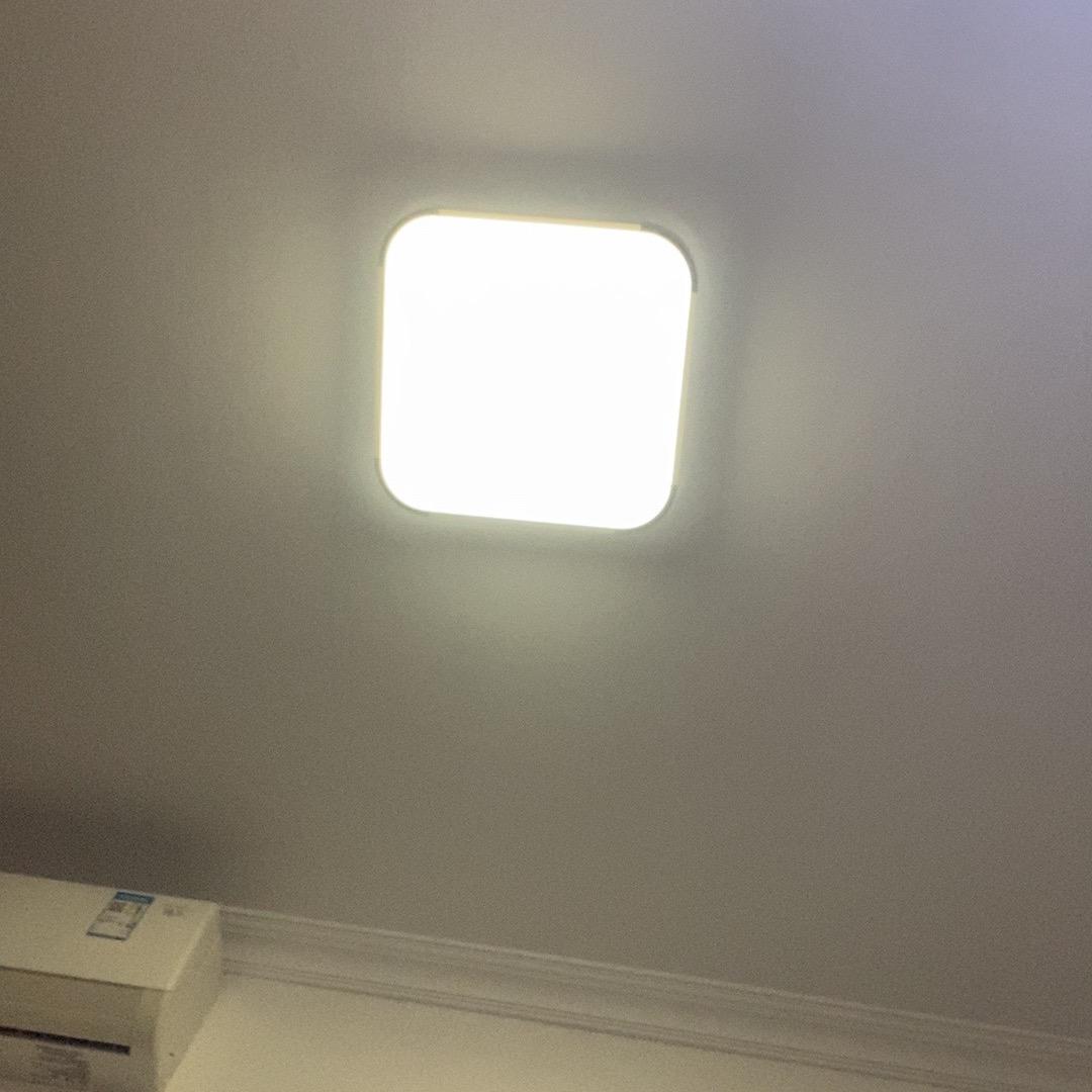 你是谁的谁
