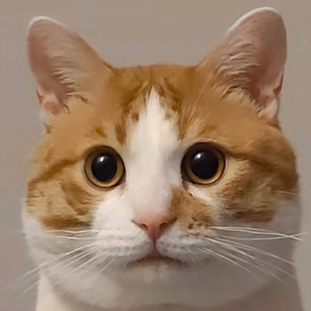 ..S