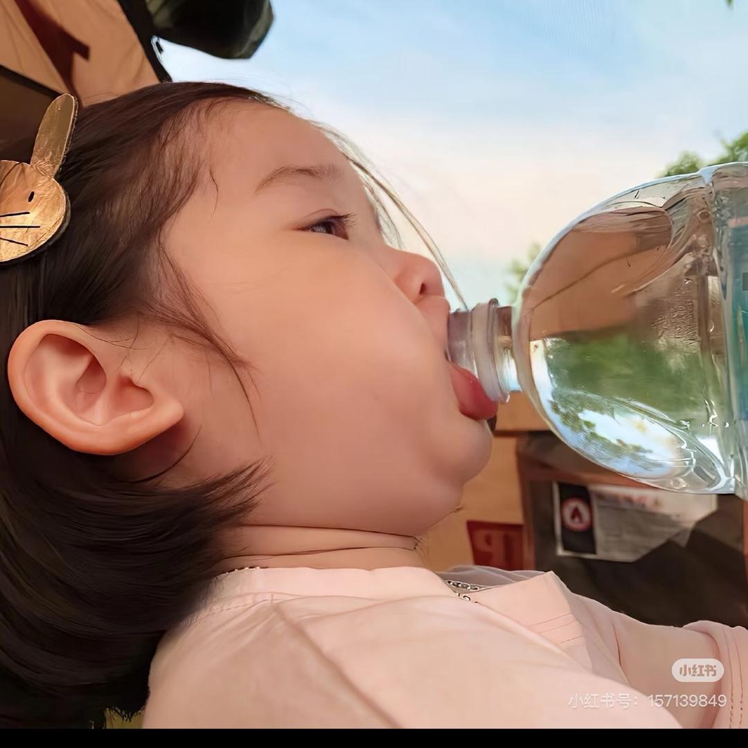 盛夏玫瑰