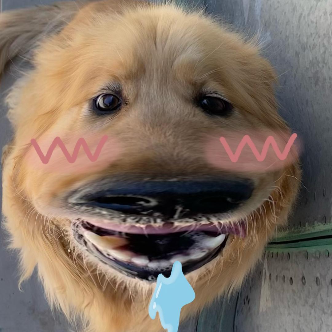 豆豆哥