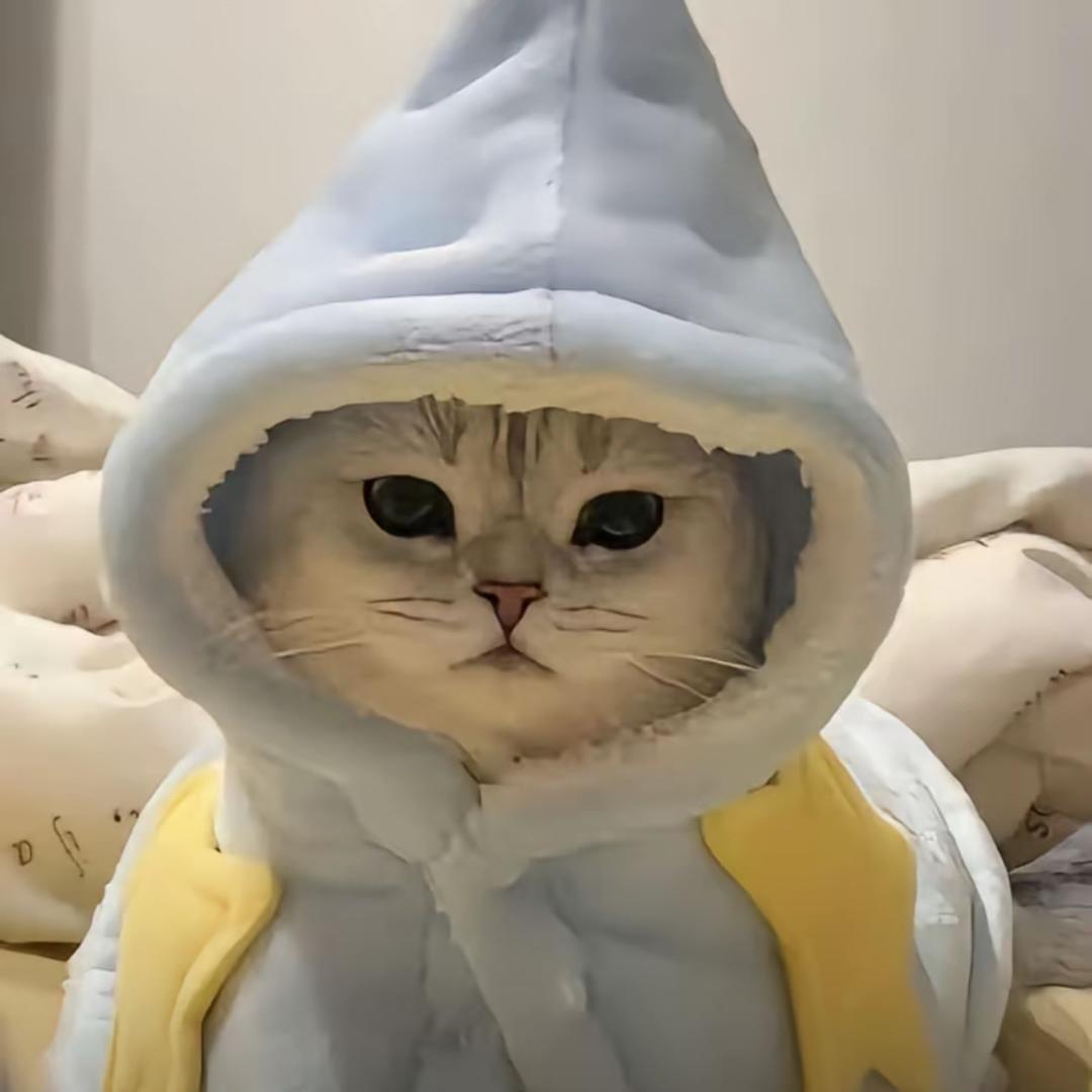 未来可期YY