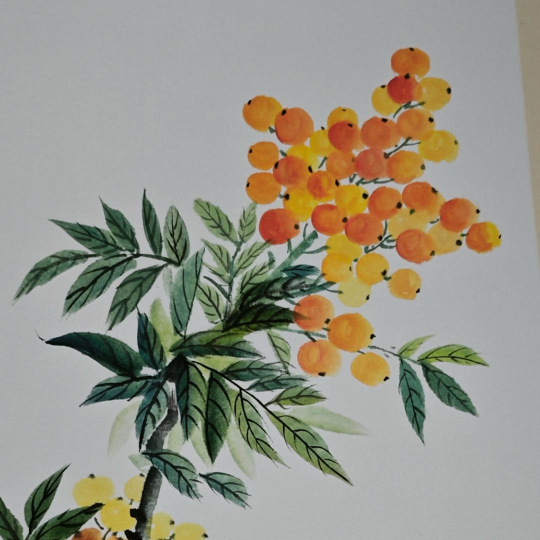 丁丁老师教国画