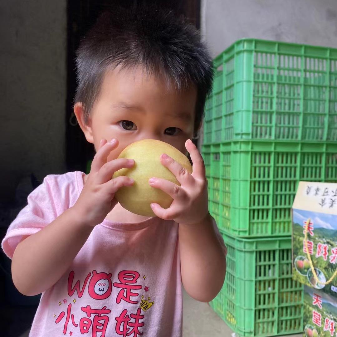 粤北鲜果严选店