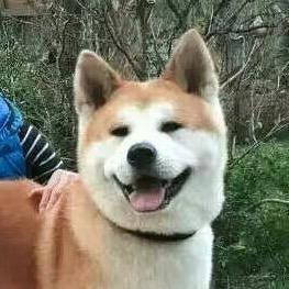 老胡