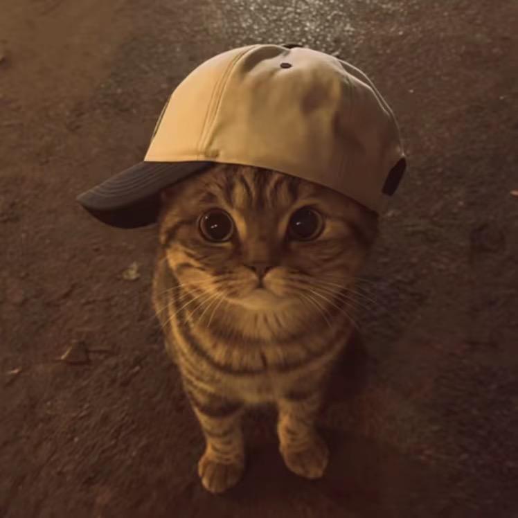 ㅤㅤㅤㅤ 小博