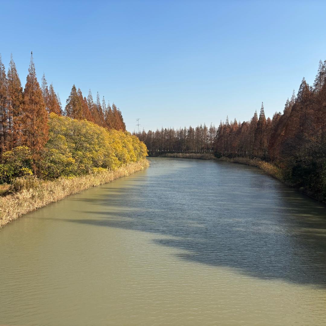 🪸爱无归期🐦‍🔥