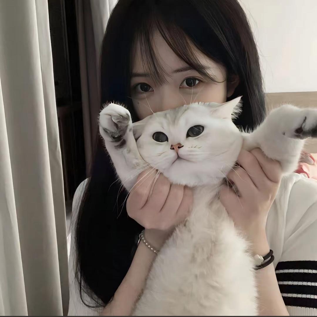 饼干🐰