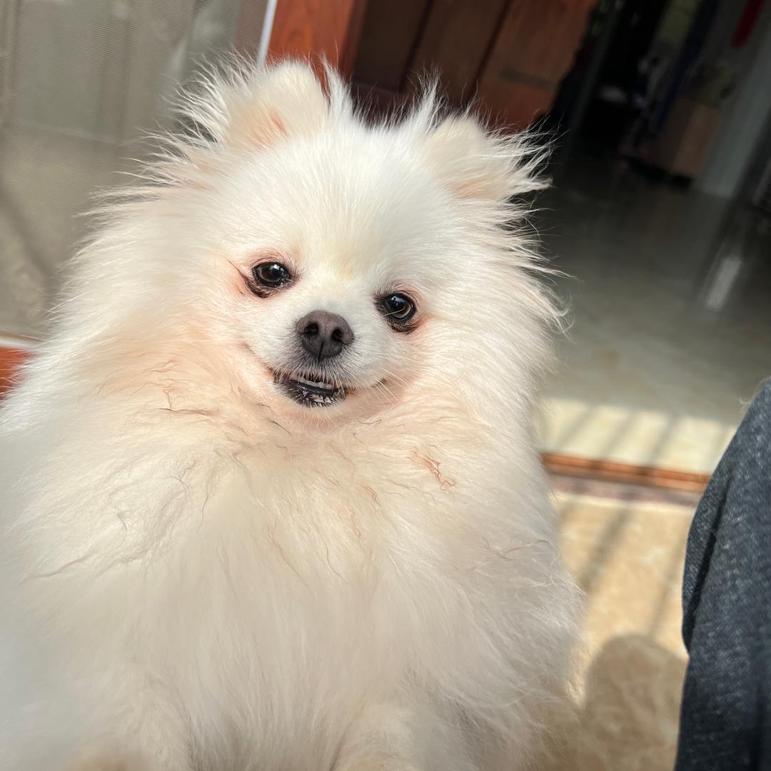 小娜娜