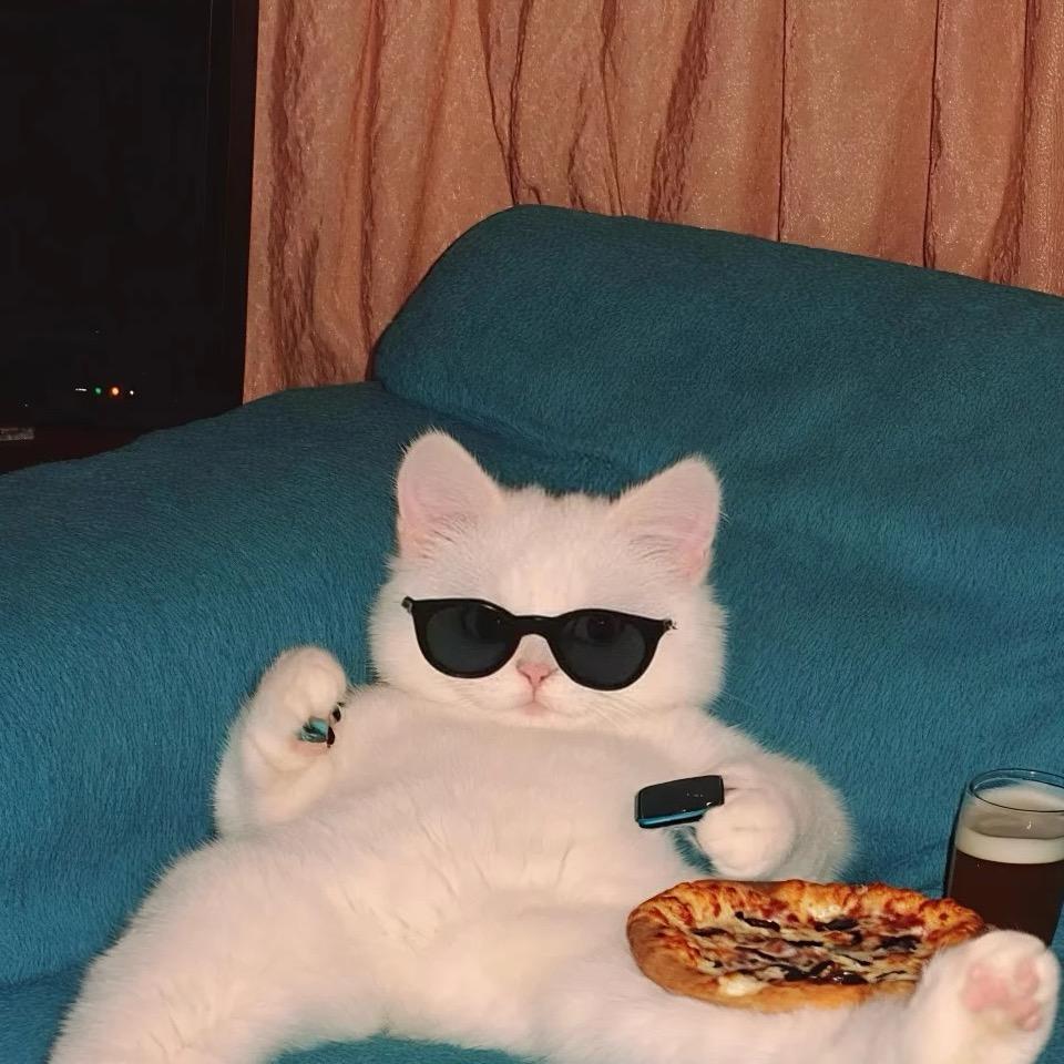 Z☡zᶻ ⌁