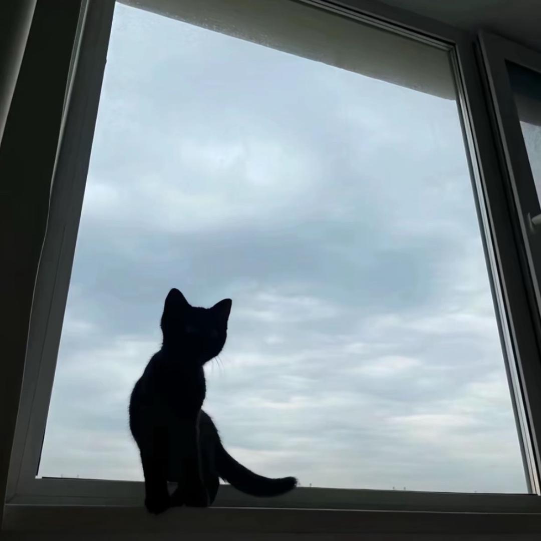 ☁️（减肥版）