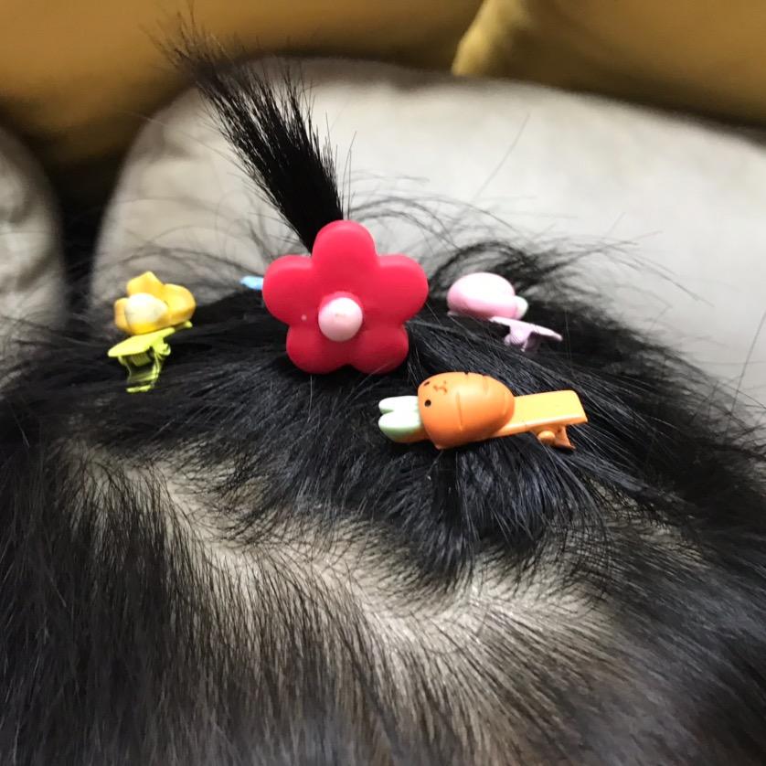 是蛋儿呀
