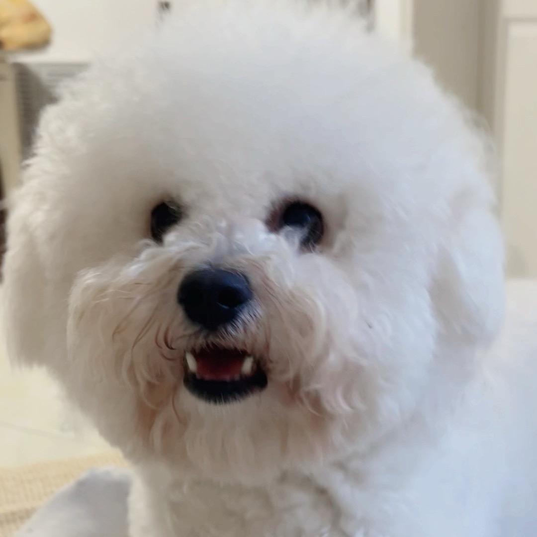 潘来财～