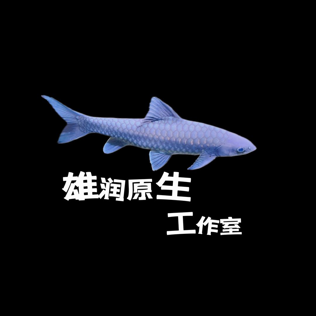 雄润原生（阿🐻）