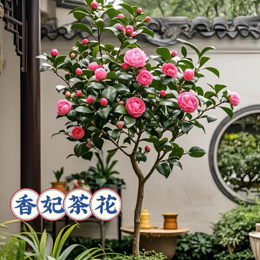 满园家庭农场