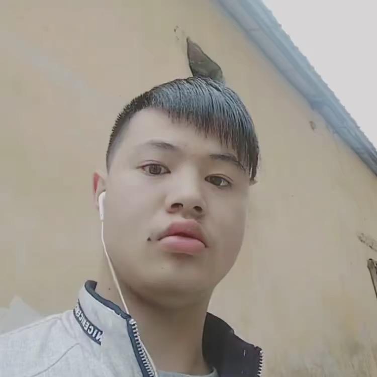 9543796543龙哥