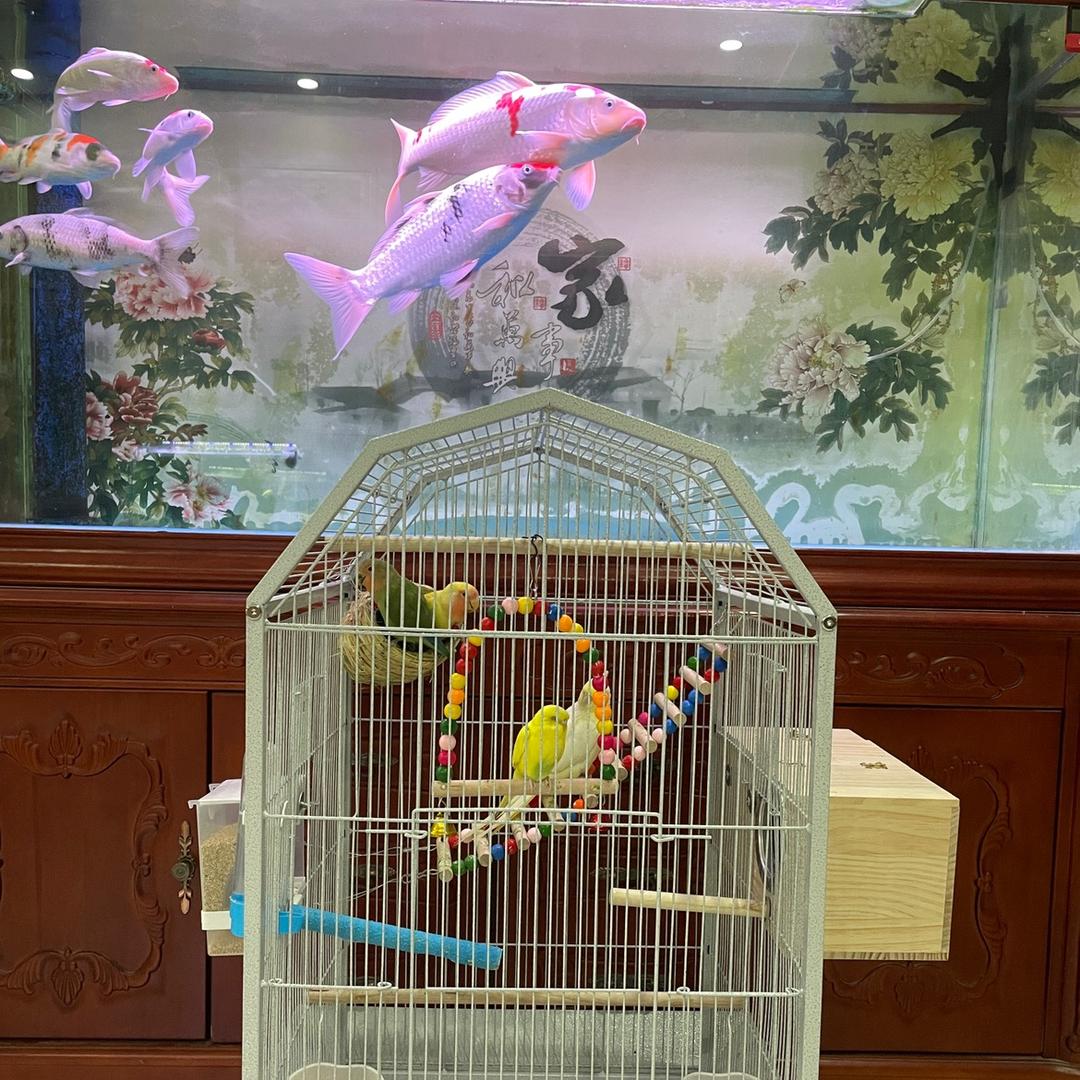 绿豆之家