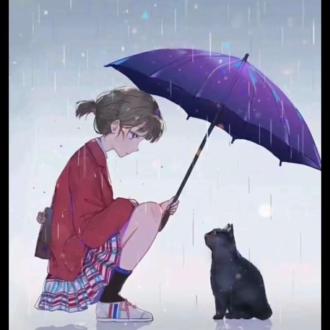 给我咖啡和猫