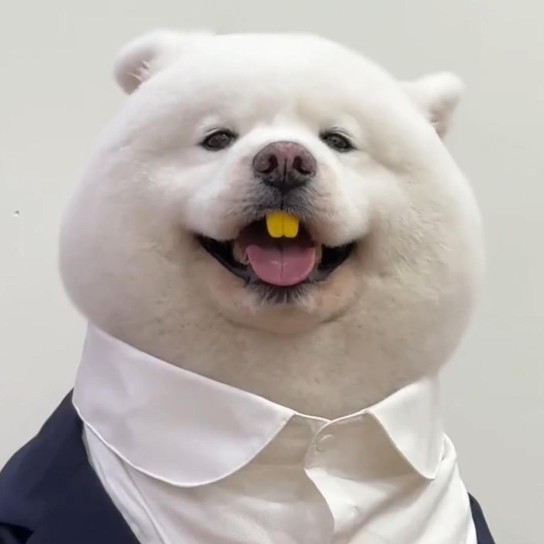 黑太狼