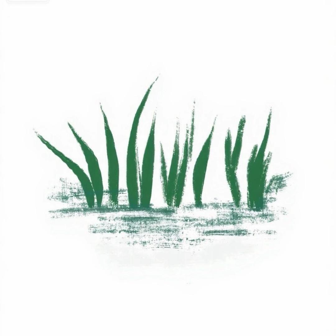 小草共创社区（澜木）