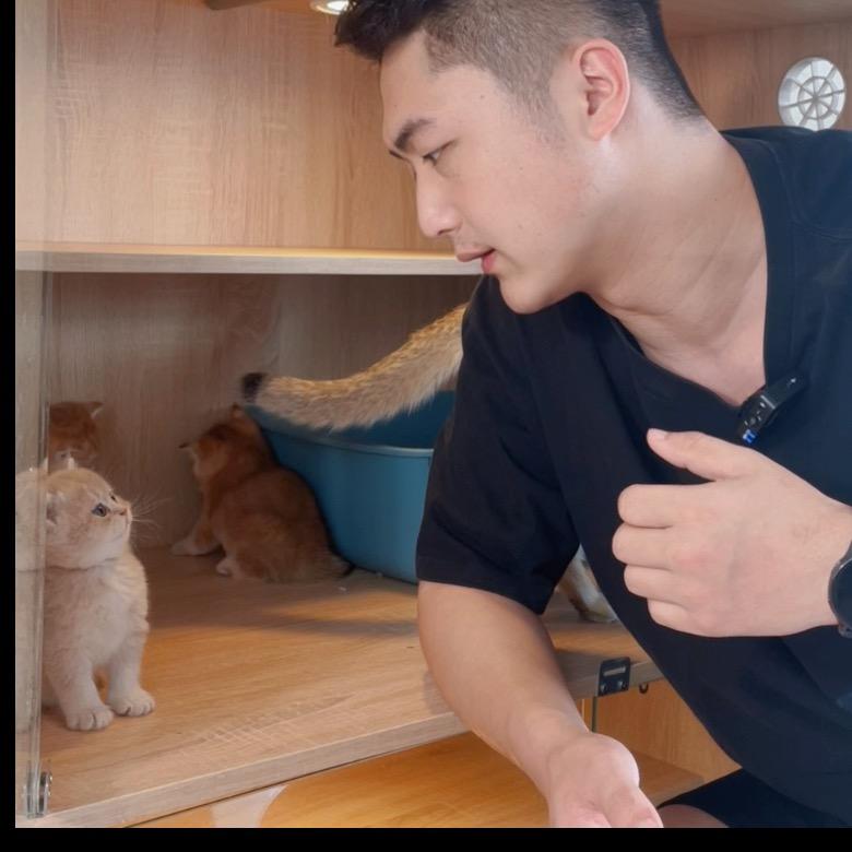 猫百科~（精选猫咪）