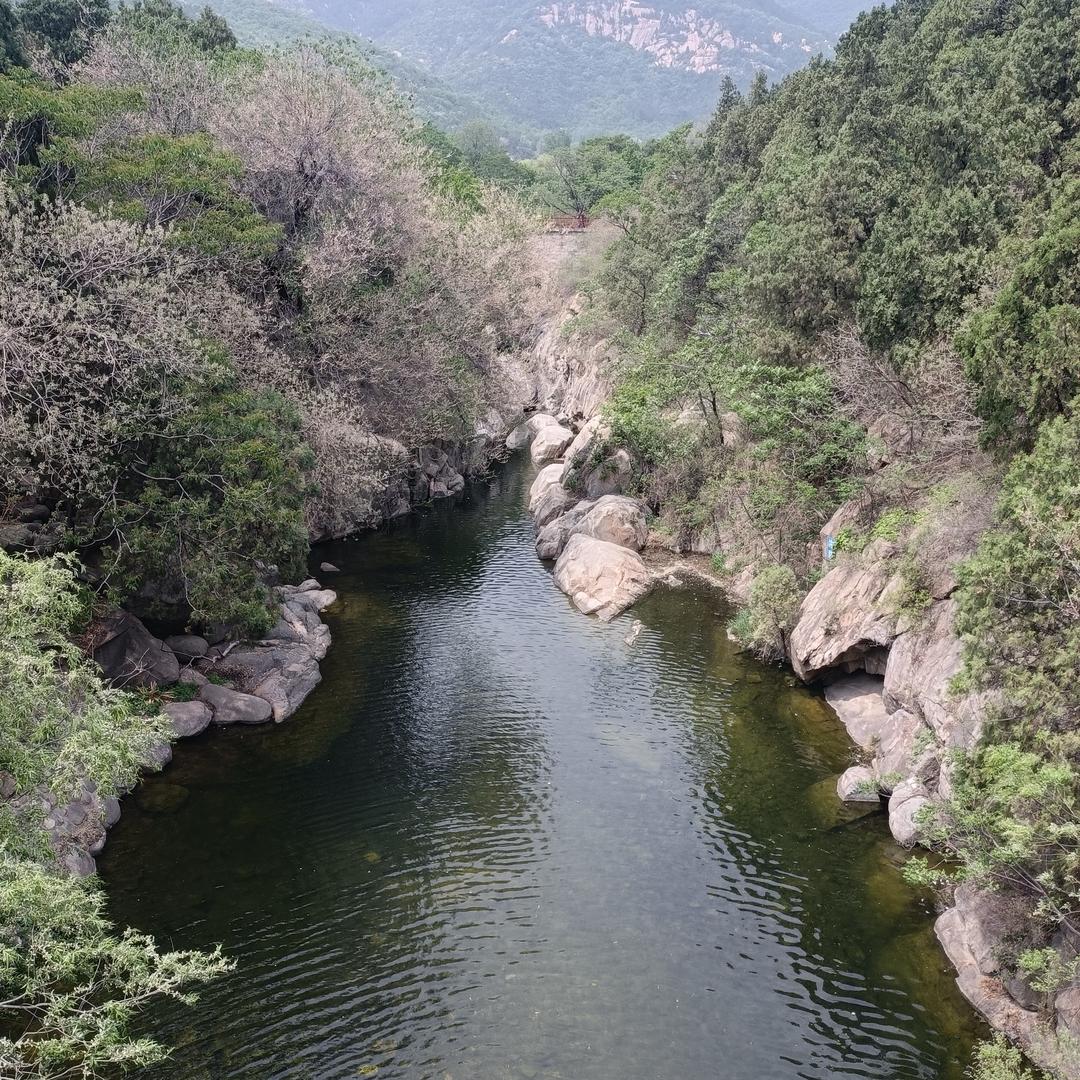宝清