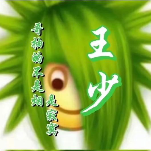 美丽的人