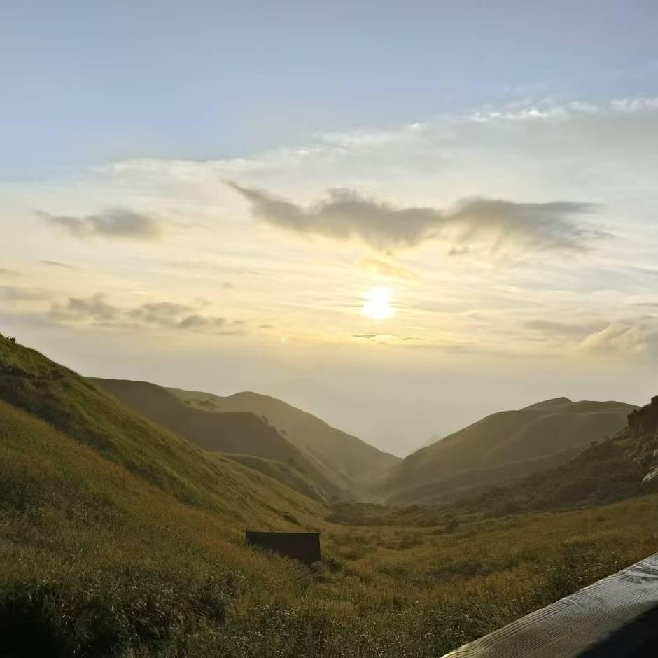 ☘️孤狼🍃🍂